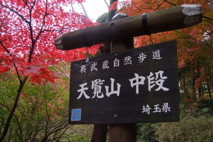 Гора Тэнран в Ханно, Сайтама