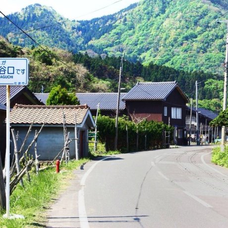 Каучсерфинг в Японии Каучсерфинг в Японии