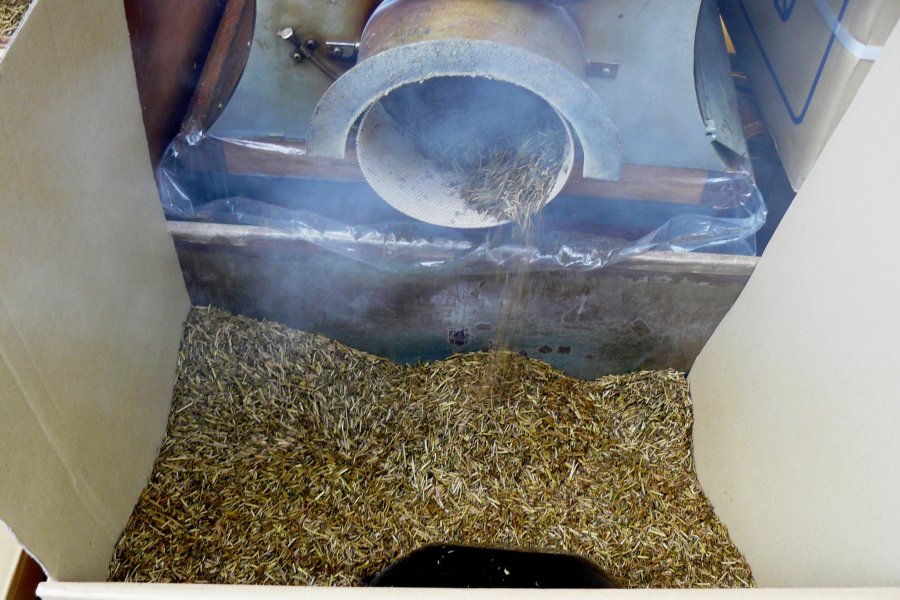 Ходзича на Кагуразаке