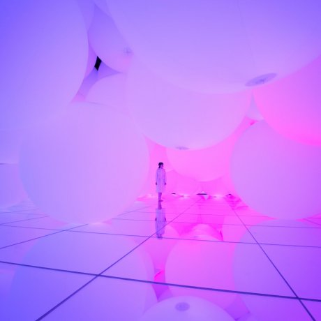TeamLab Planets Tokyo TeamLab Planets Tokyo