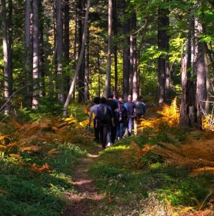 Thumbnail for Forested trails near Kawayu Eco Museum Center