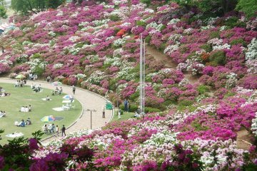 Nishiyama Park Nishiyama Park